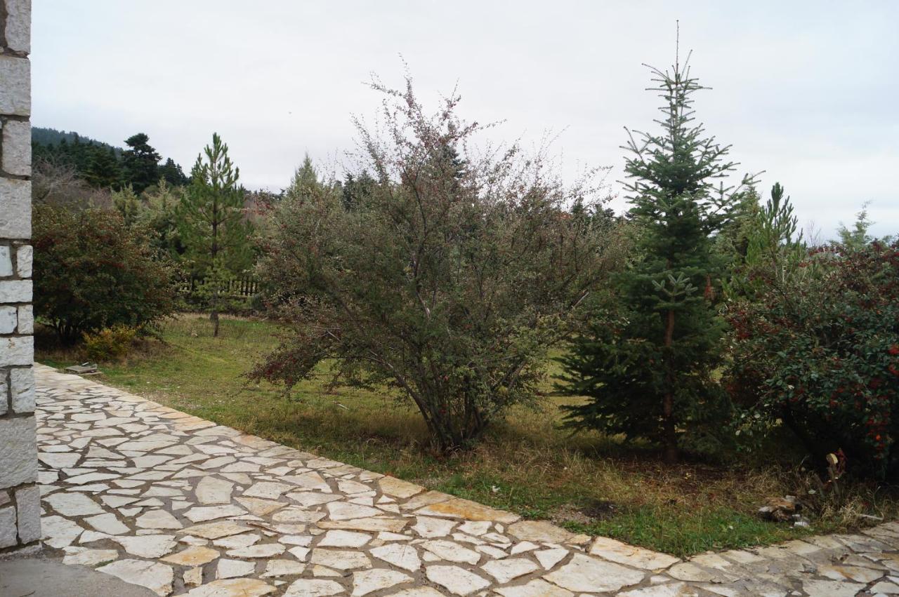Parnassos Chalets Arachova Buitenkant foto